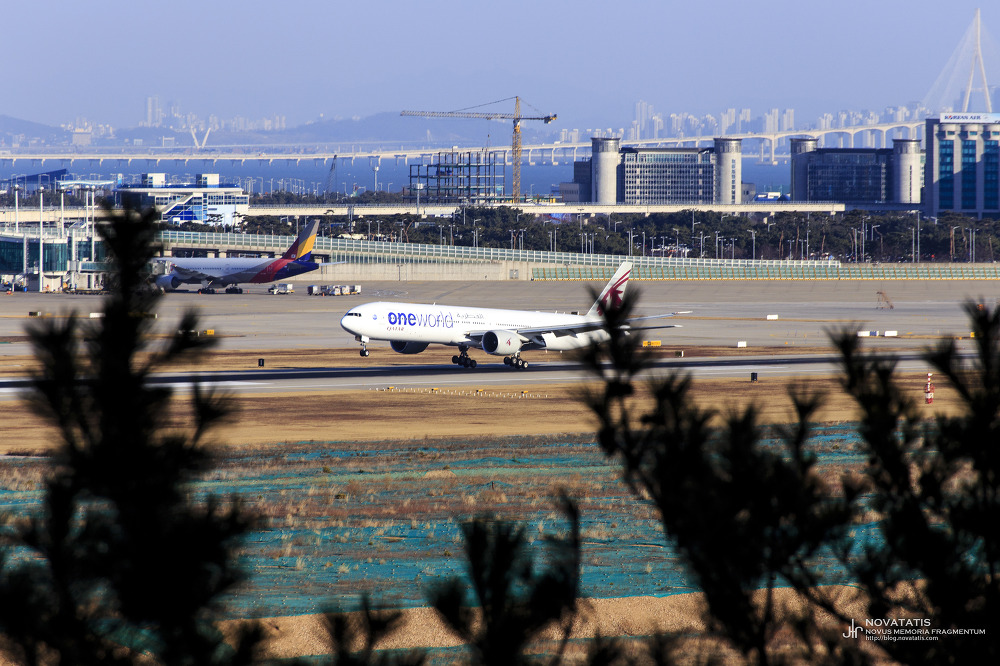 나무 실루엣 너머 활주로를 주행 중인 oneworld