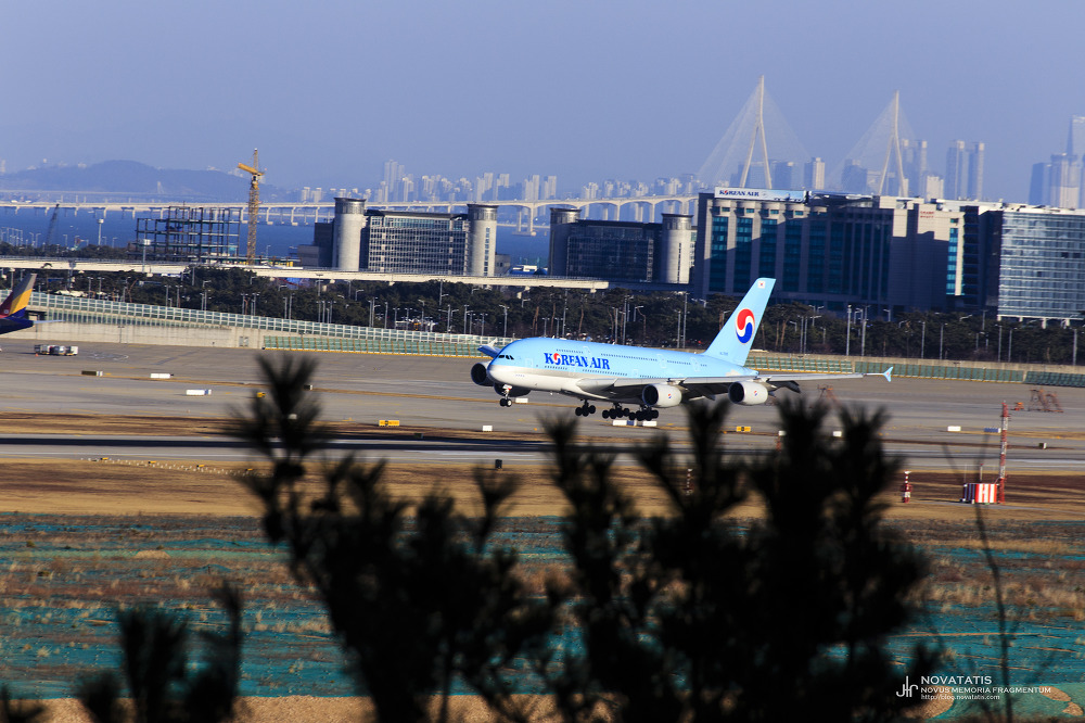착륙 중 활주로 접근하는 대한항공 A380