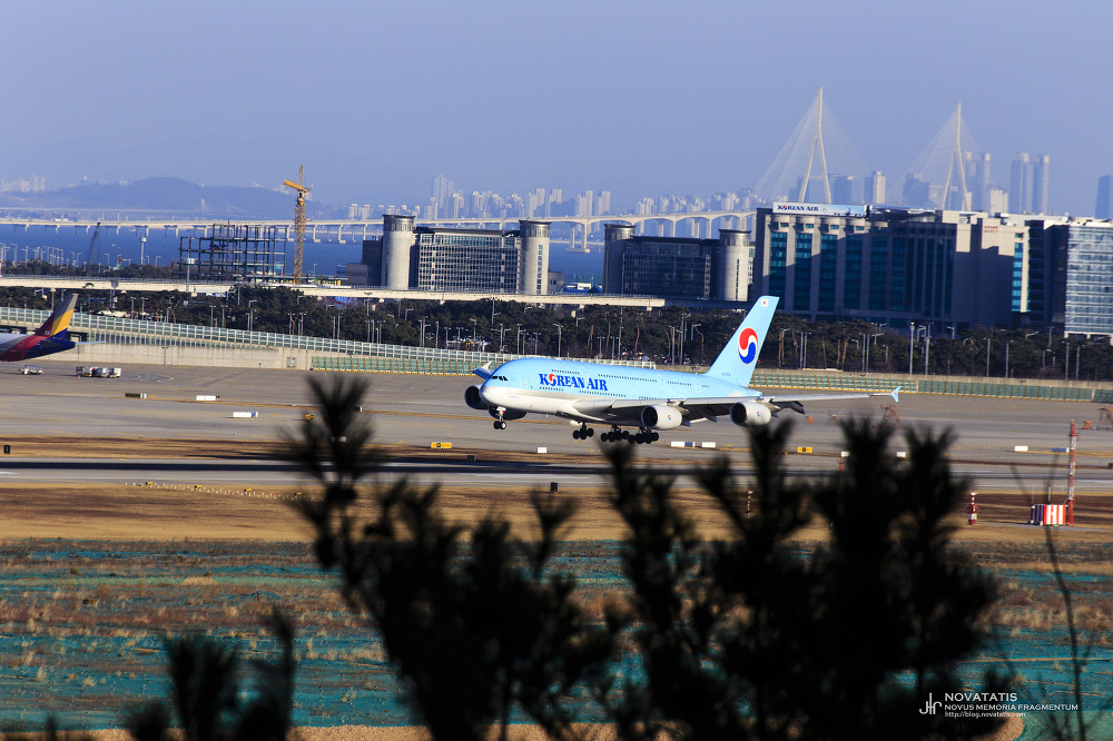 착륙 직전 활주로에 다가선 대한항공 A380