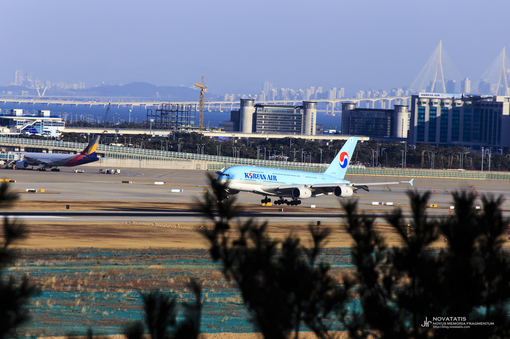 활주로에 내려앉는 대한항공 A380