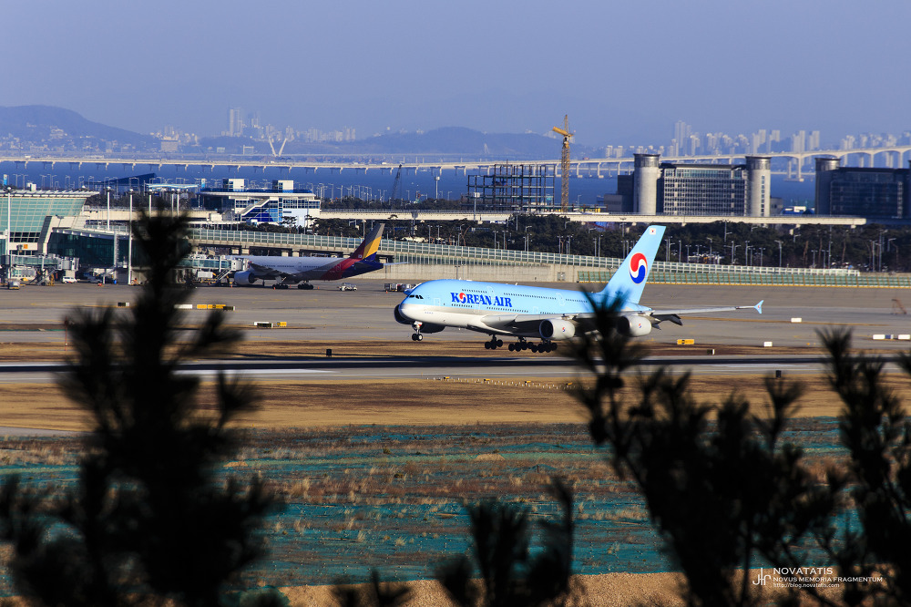 활주로 가운데 착륙하는 대한항공 A380