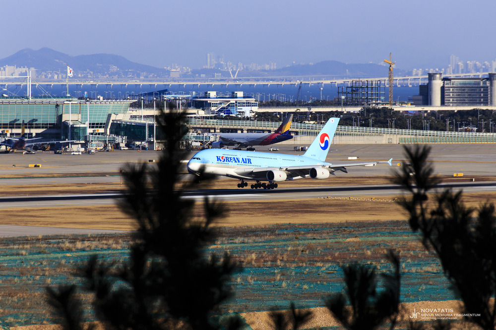 바다와 공항 배경의 활주로를 지나는 대한항공 A380