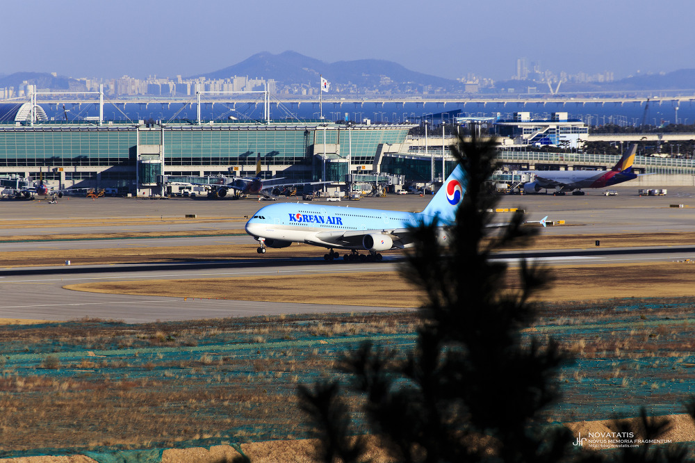 터미널 앞 활주로를 달리는 대한항공 A380
