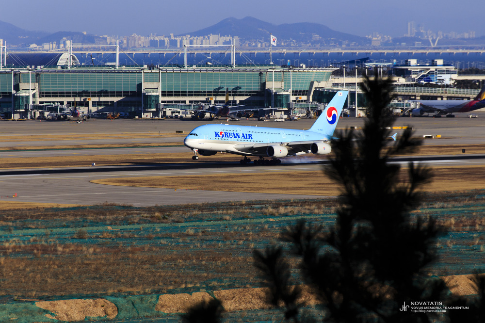 터미널 앞 활주로 활주 중인 대한항공 A380