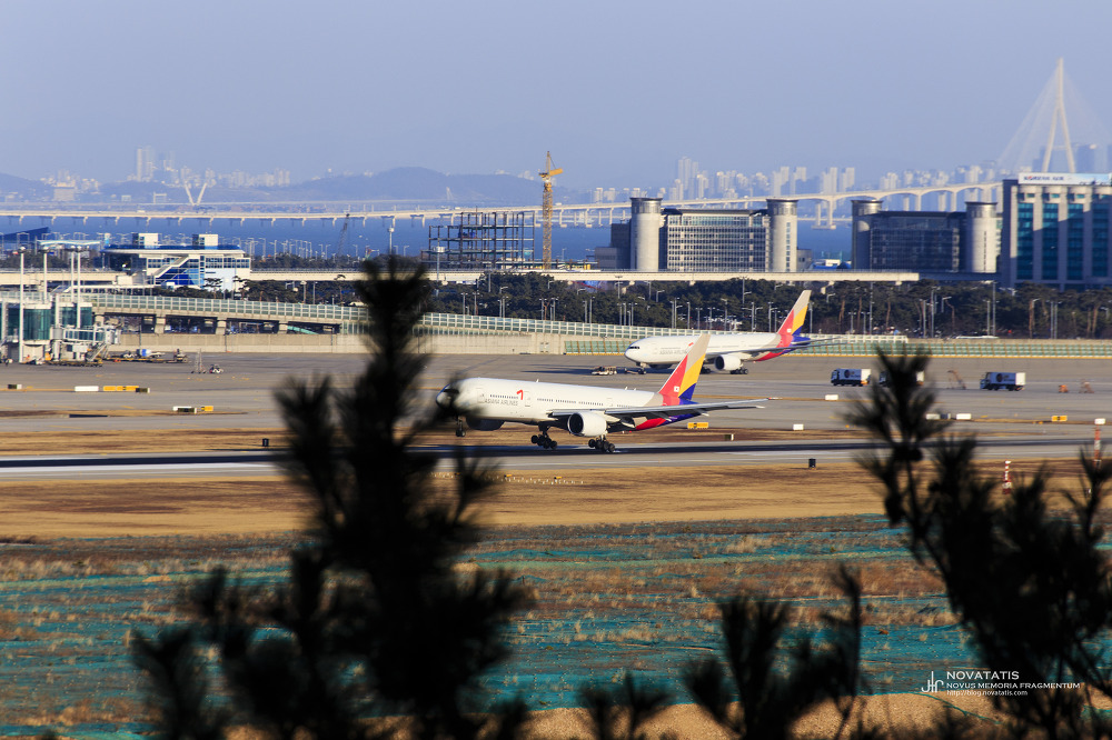 Asiana Airlines B777 착륙 직전 전경