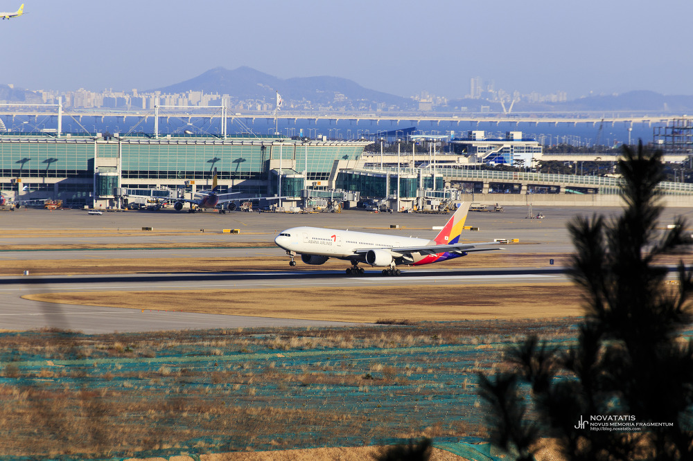 Asiana Airlines B777 활주로 착지 장면