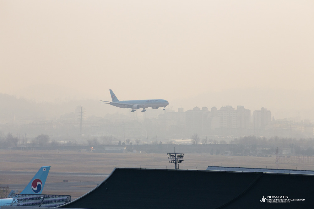 도심 배경 위 착륙 중인 대한항공 장거리기