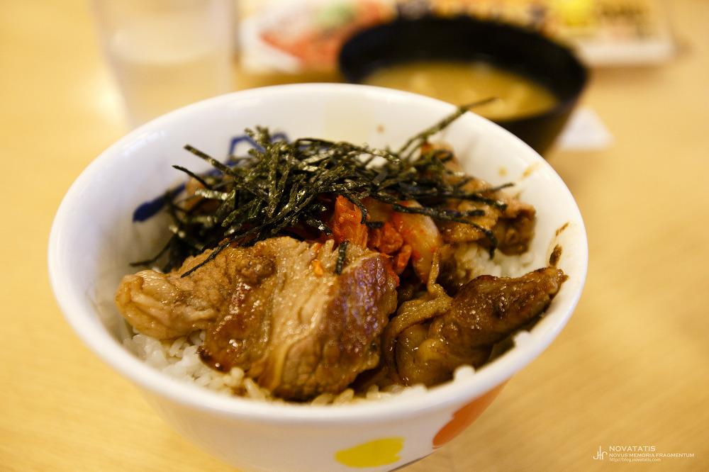 돼지고기 덮밥 한 그릇