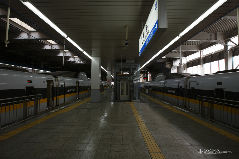 양쪽 선로에 정차한 Rail Star 열차