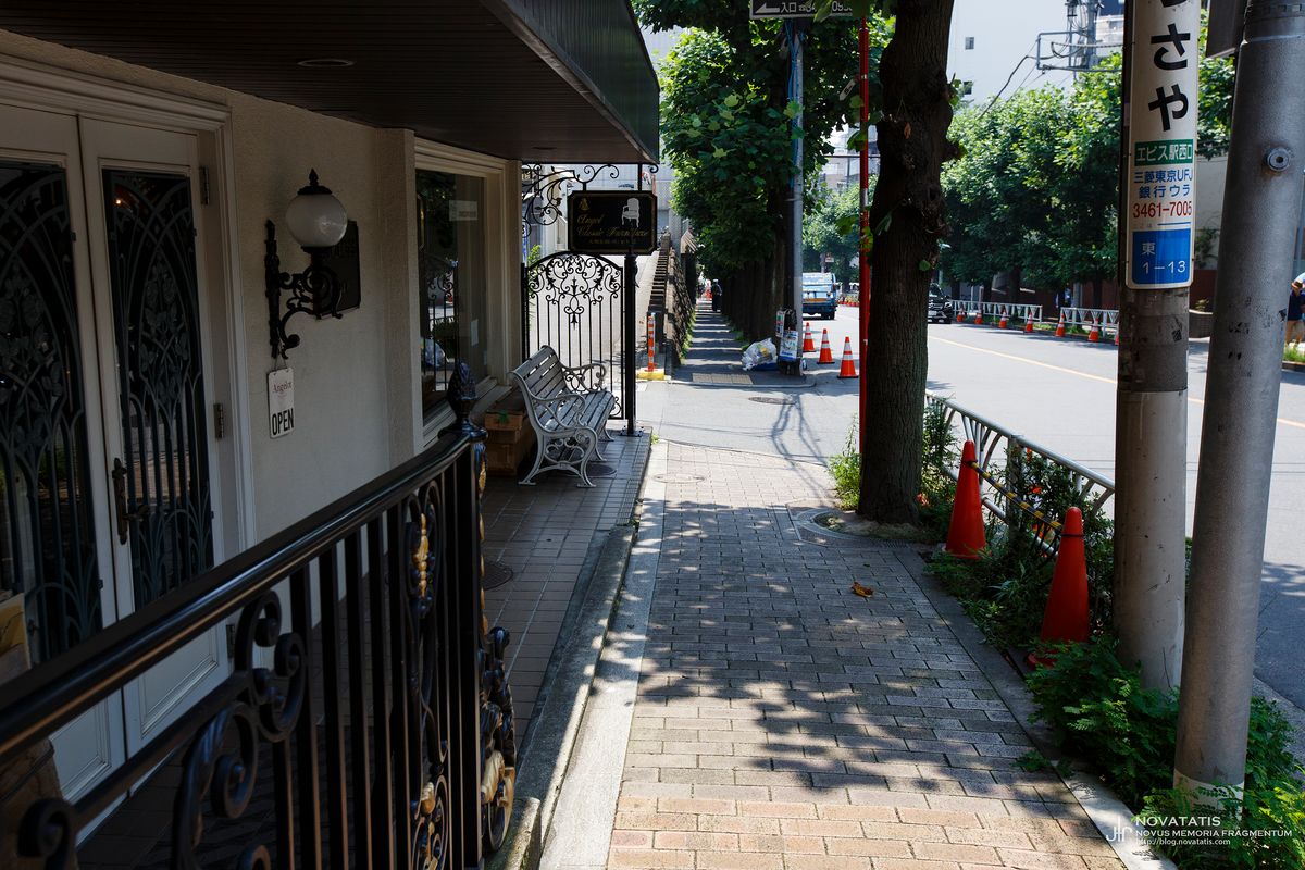 가로수 옆 일본 거리의 보도