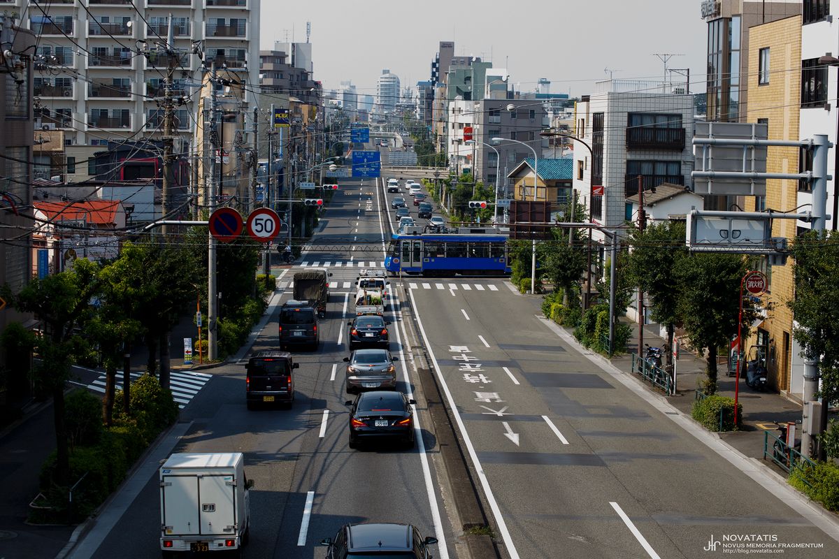 도로와 횡단보도 위 파란 전차