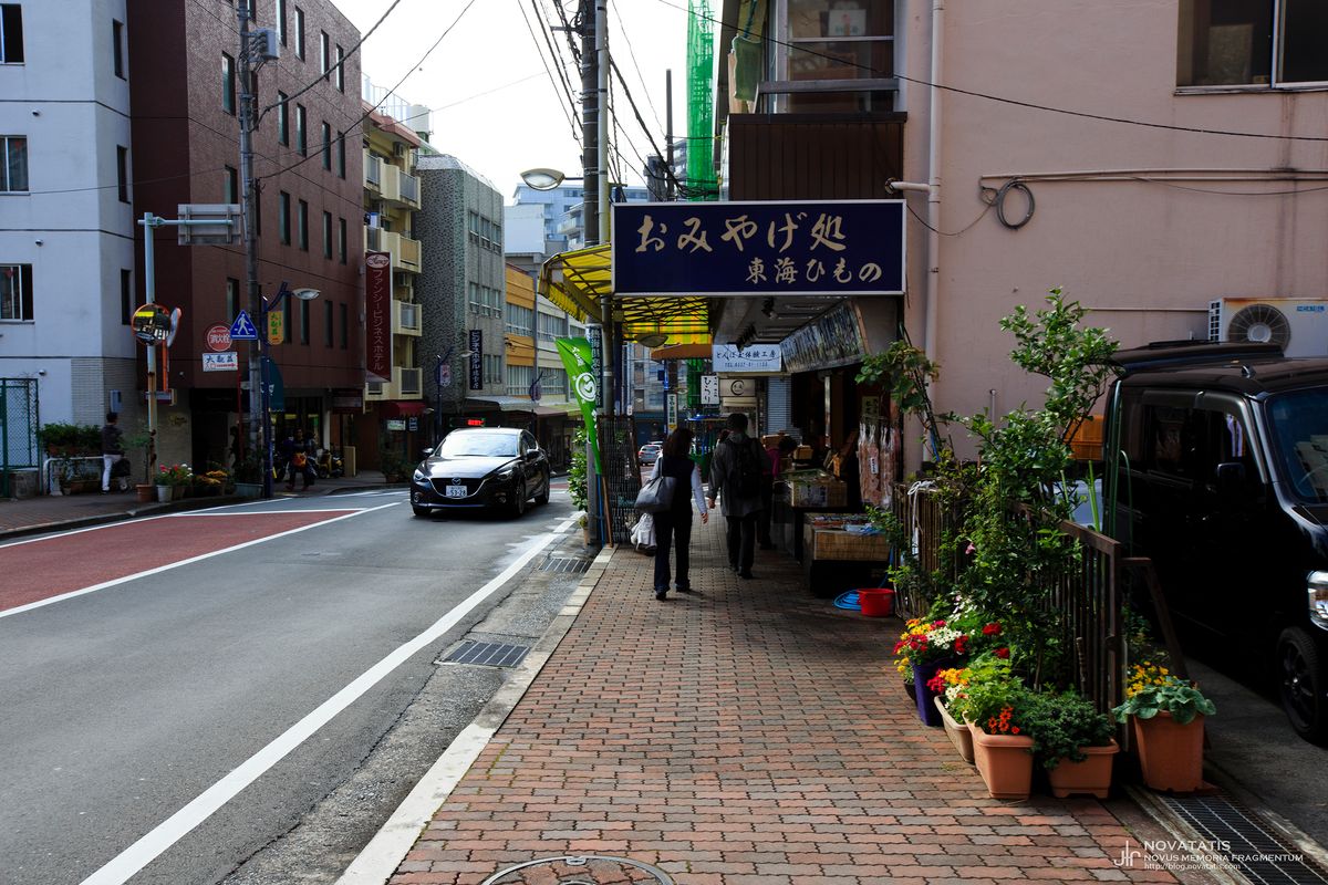 상점가 위쪽 화분 놓인 보도