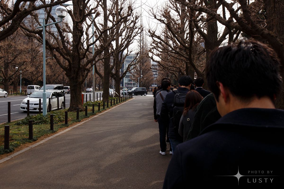 가로수 길 따라 줄 선 사람들 뒷모습