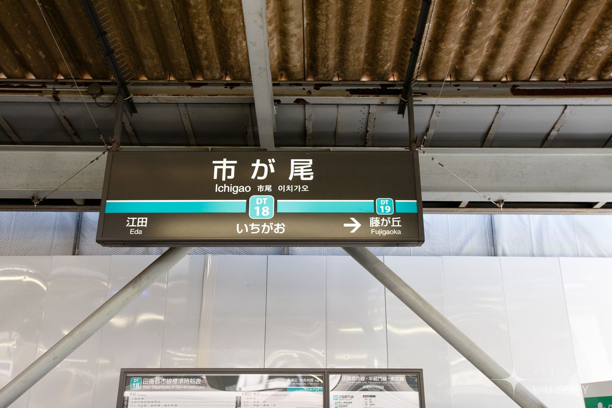 관련 이미지