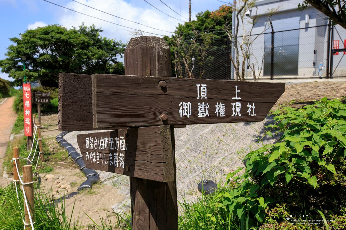목재 이정표 정상을 가리킴