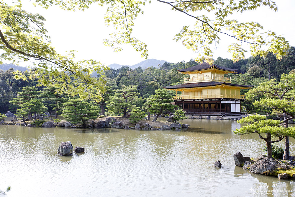 연못가 금빛 누각 풍경