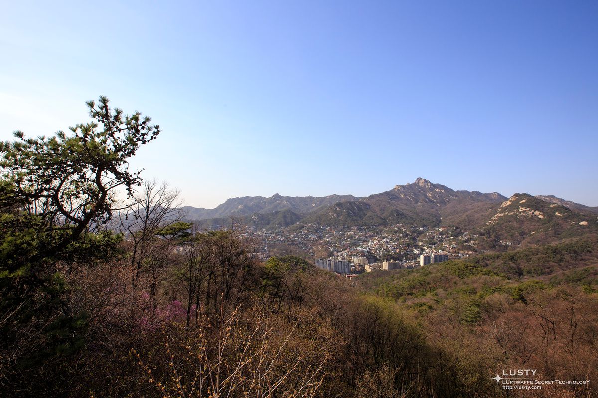 나무와 도심을 품은 산중턱 전경