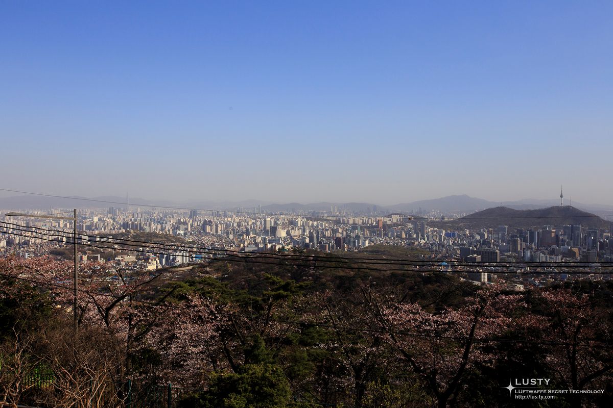 안개 낀 도심과 남산타워가 보이는 전신주 풍경