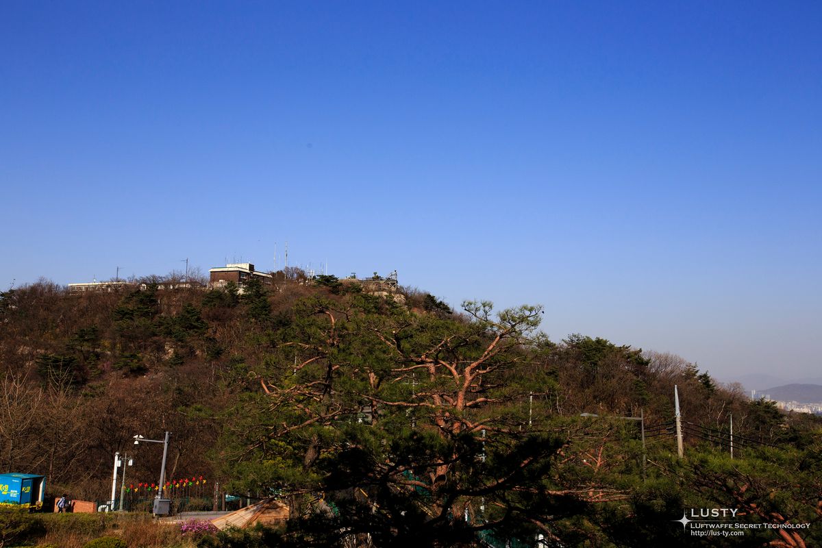 소나무와 봉우리에 올라선 산 정상 건물
