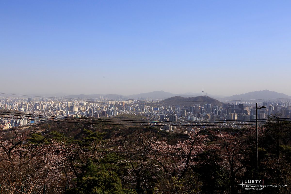 도심과 남산타워가 보이는 서울 전경