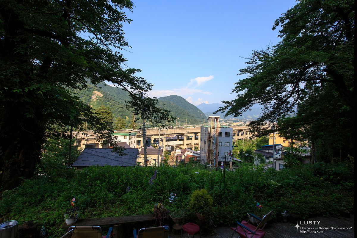 나무 사이로 보이는 고가 철도와 주택
