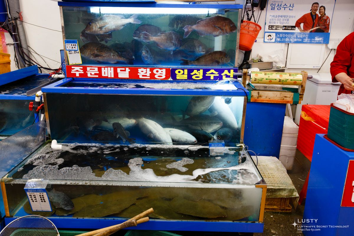 수족관에 있는 활어들
