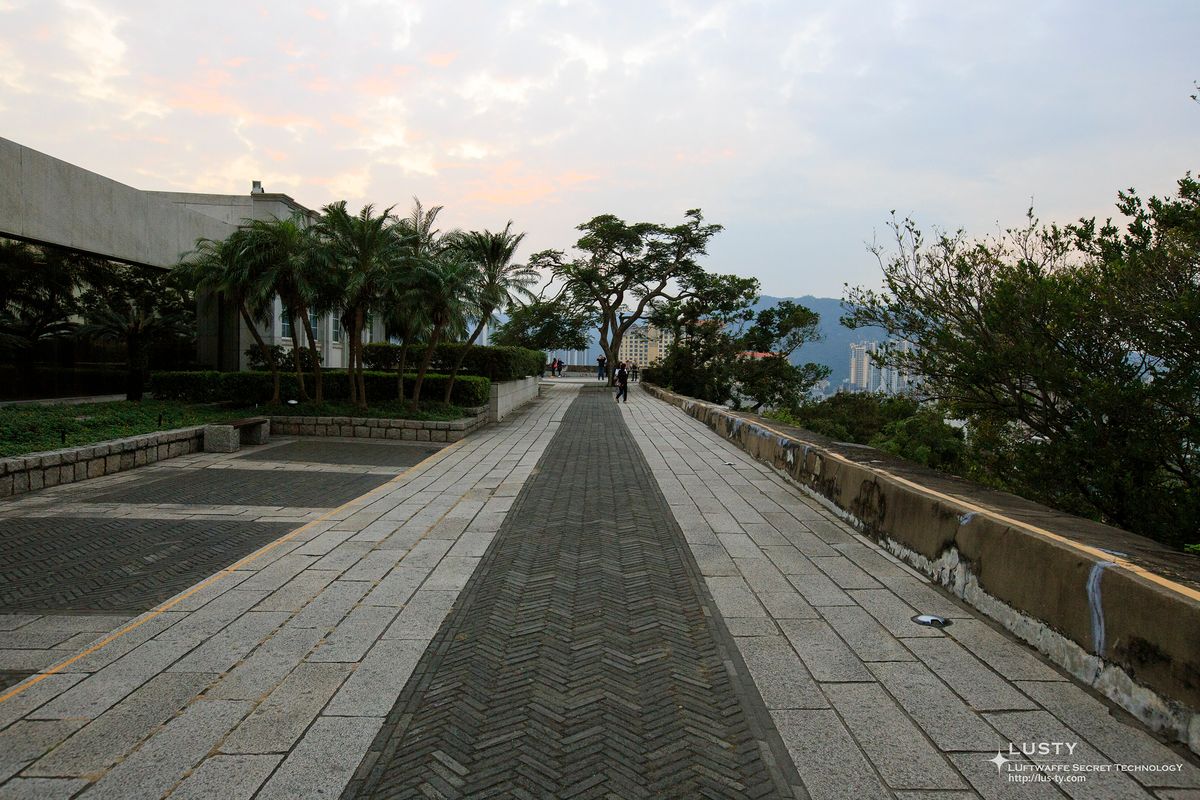 성곽 위 산책로와 야자수 조경