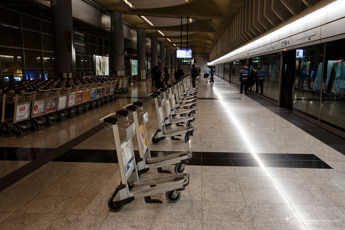 공항 플랫폼에 정렬된 수하물 카트