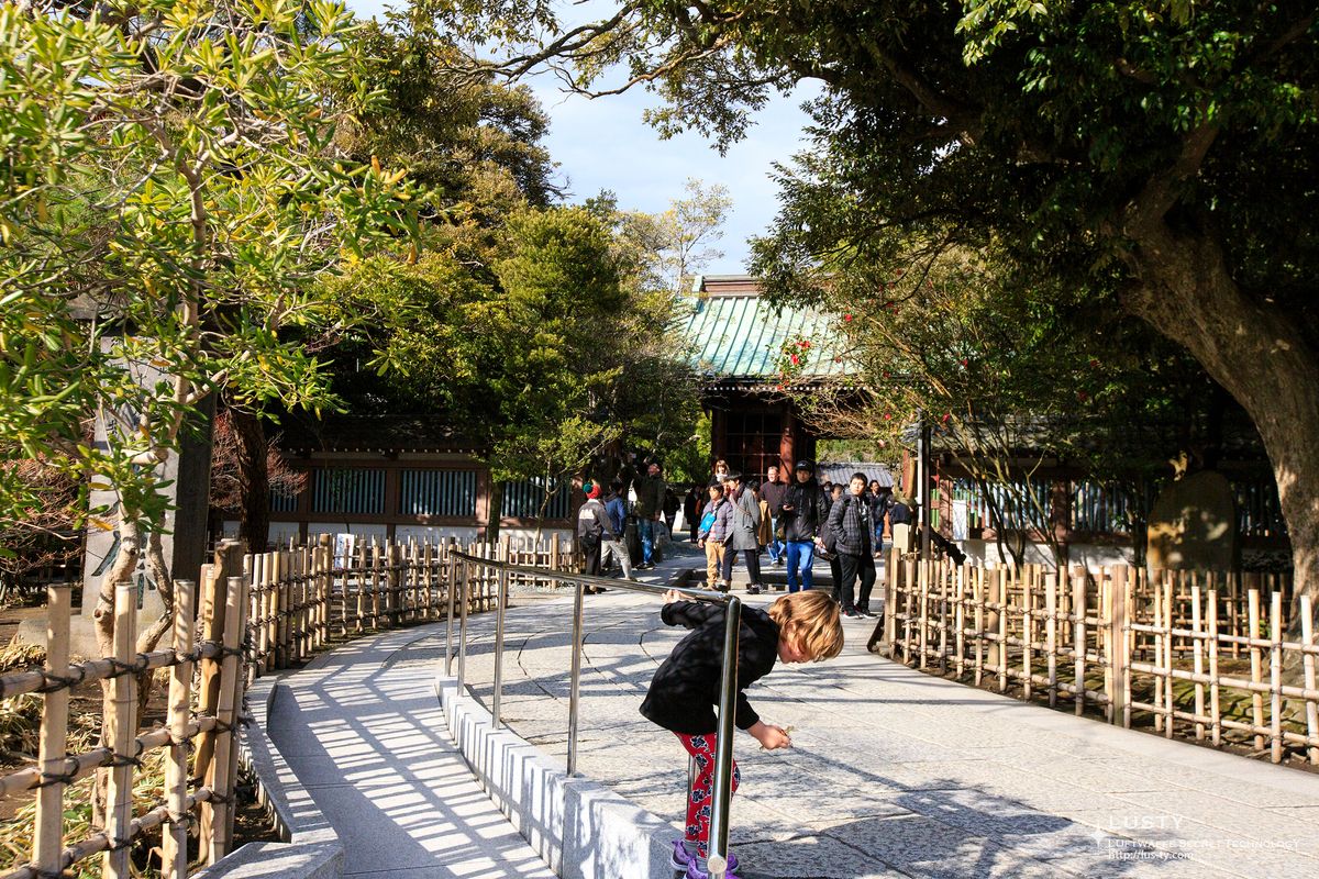 사원 입구 나무와 방문객