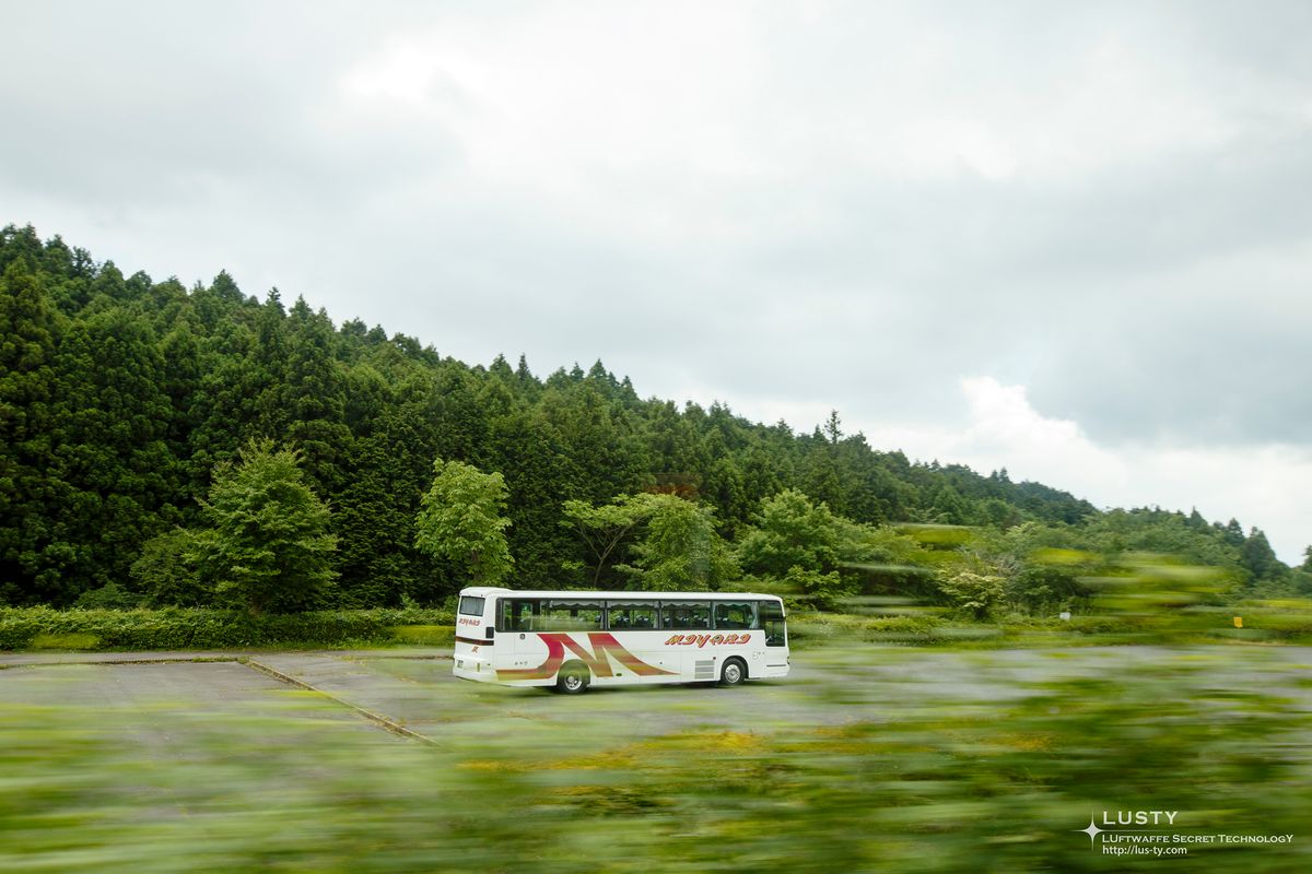 숲가 옆 주차된 흰 관광버스
