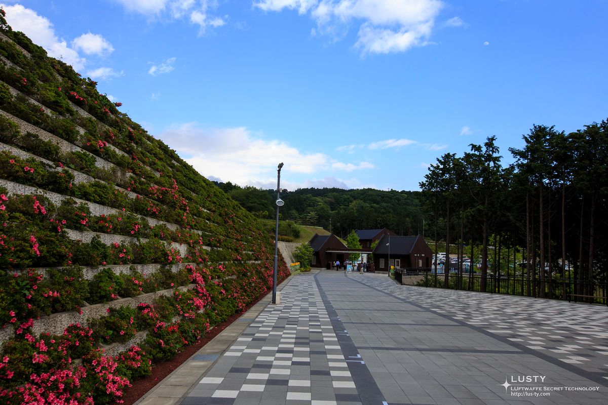 꽃 심은 석축 옆 넓은 산책로
