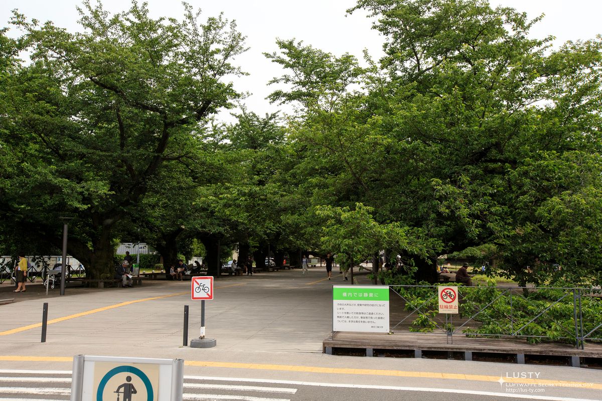 큰 나무 아래 보행로와 자전거 금지 표지
