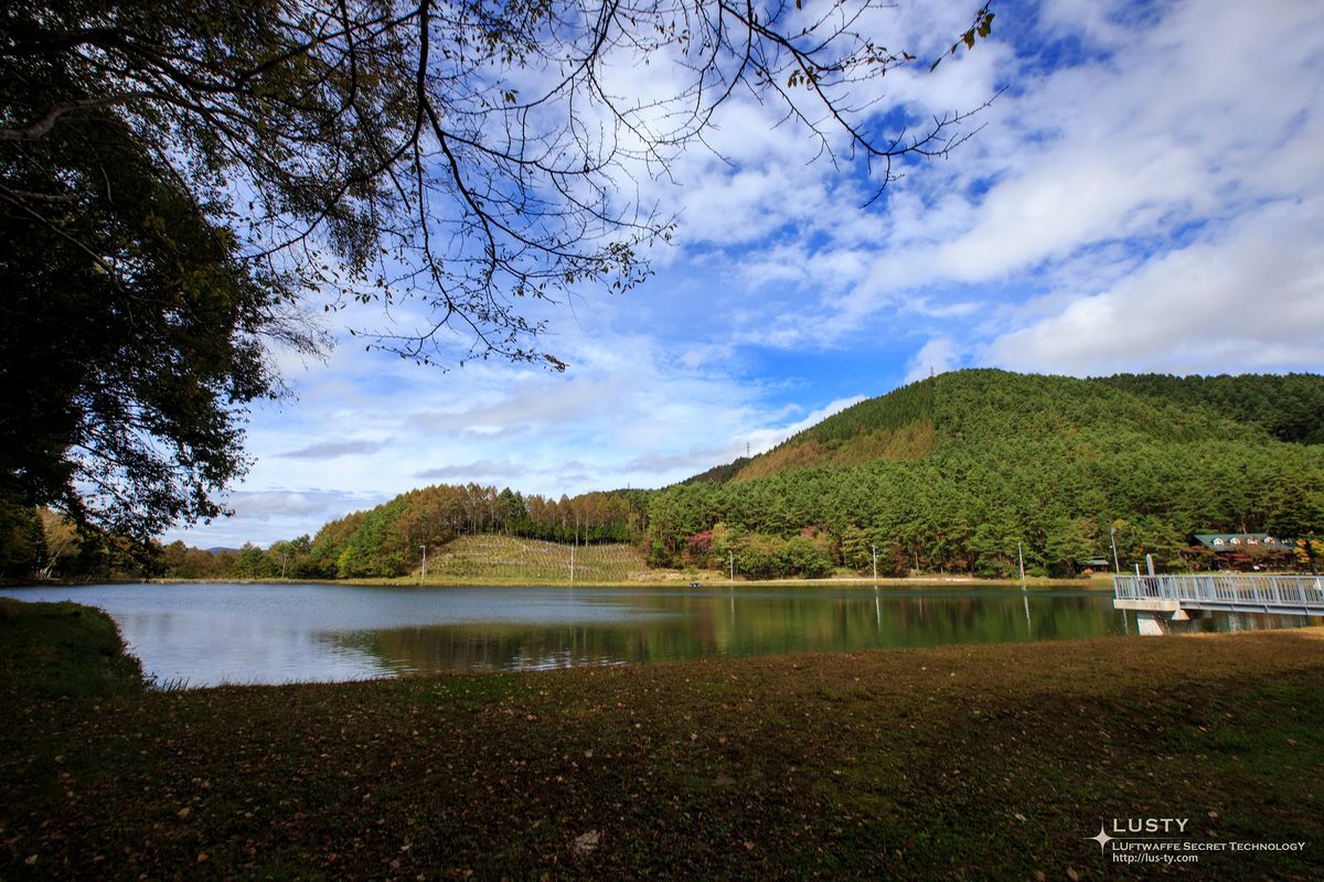 잔잔한 호수와 숲을 비춘 풍경