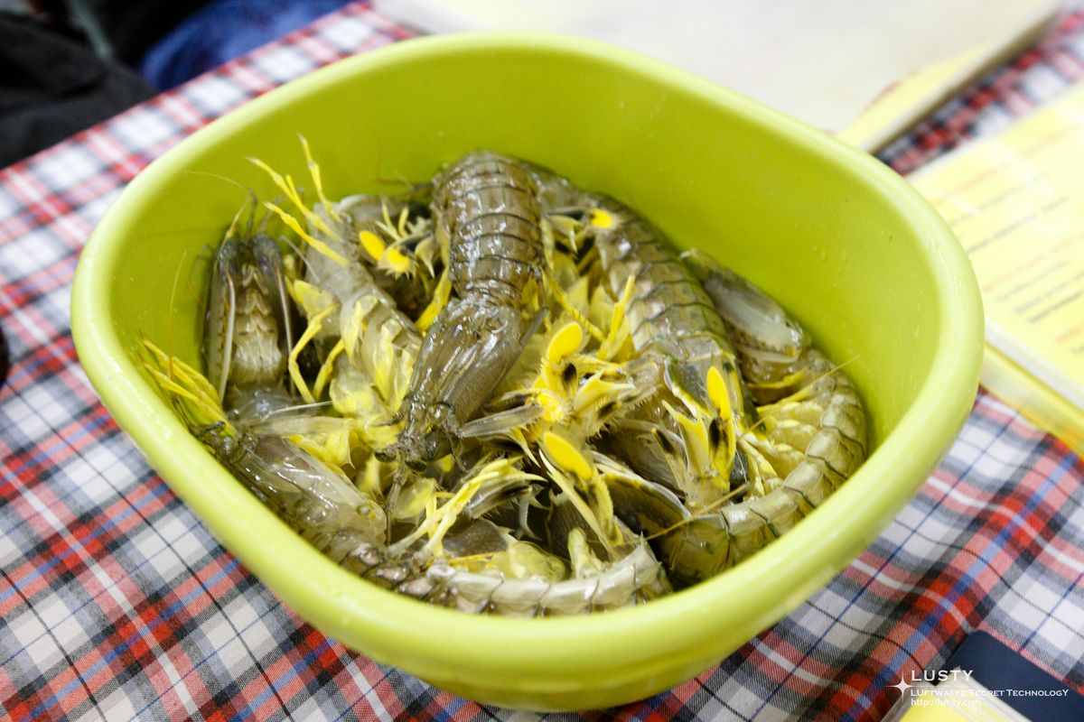 초록 그릇에 담긴 망치새우 여러 마리