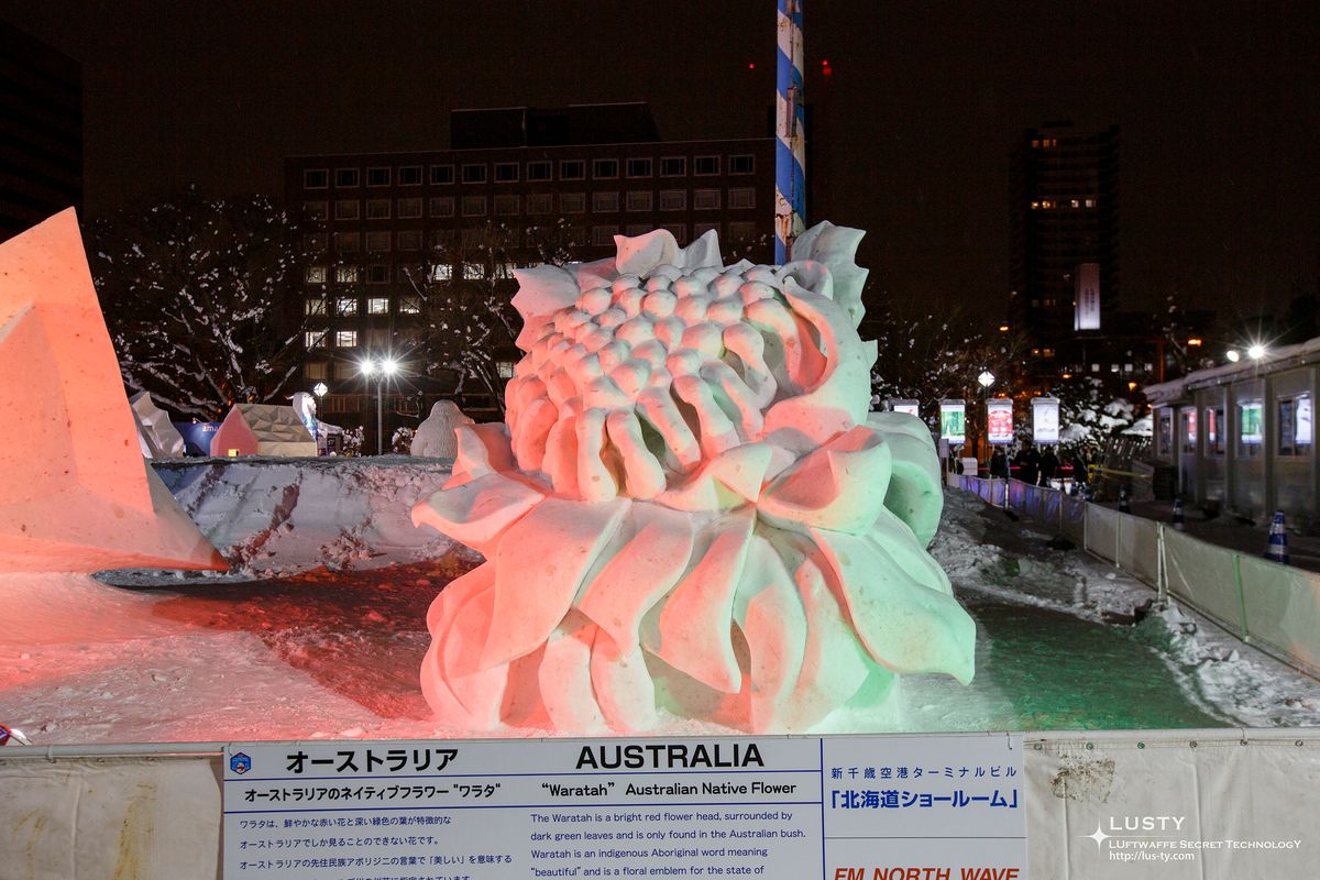 오스트레일리아의 자생화 와라타 이미지