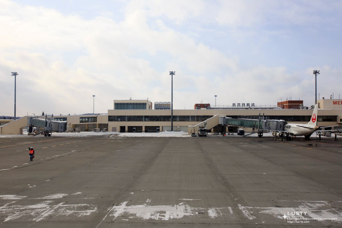 메만베츠 공항 활주로와 JAL 여객기