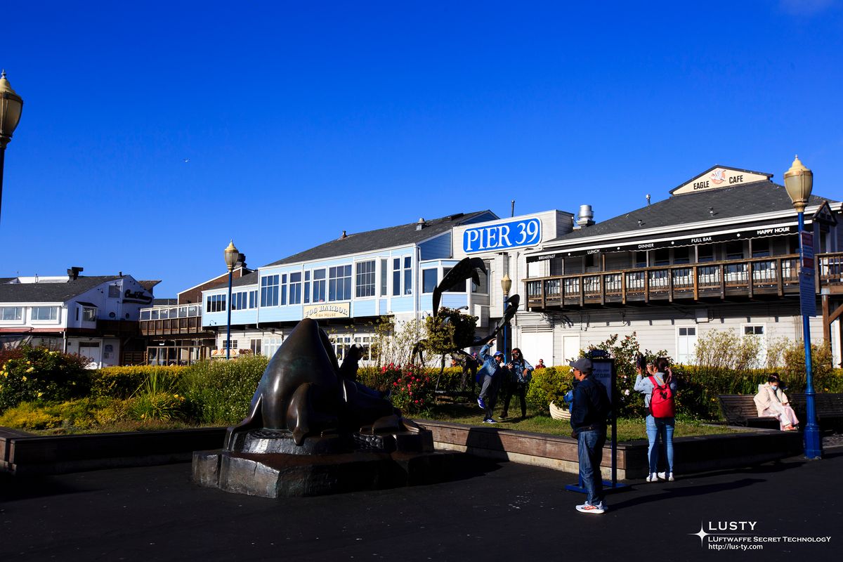 PIER 39 간판과 해변 건물들이 보이는 거리