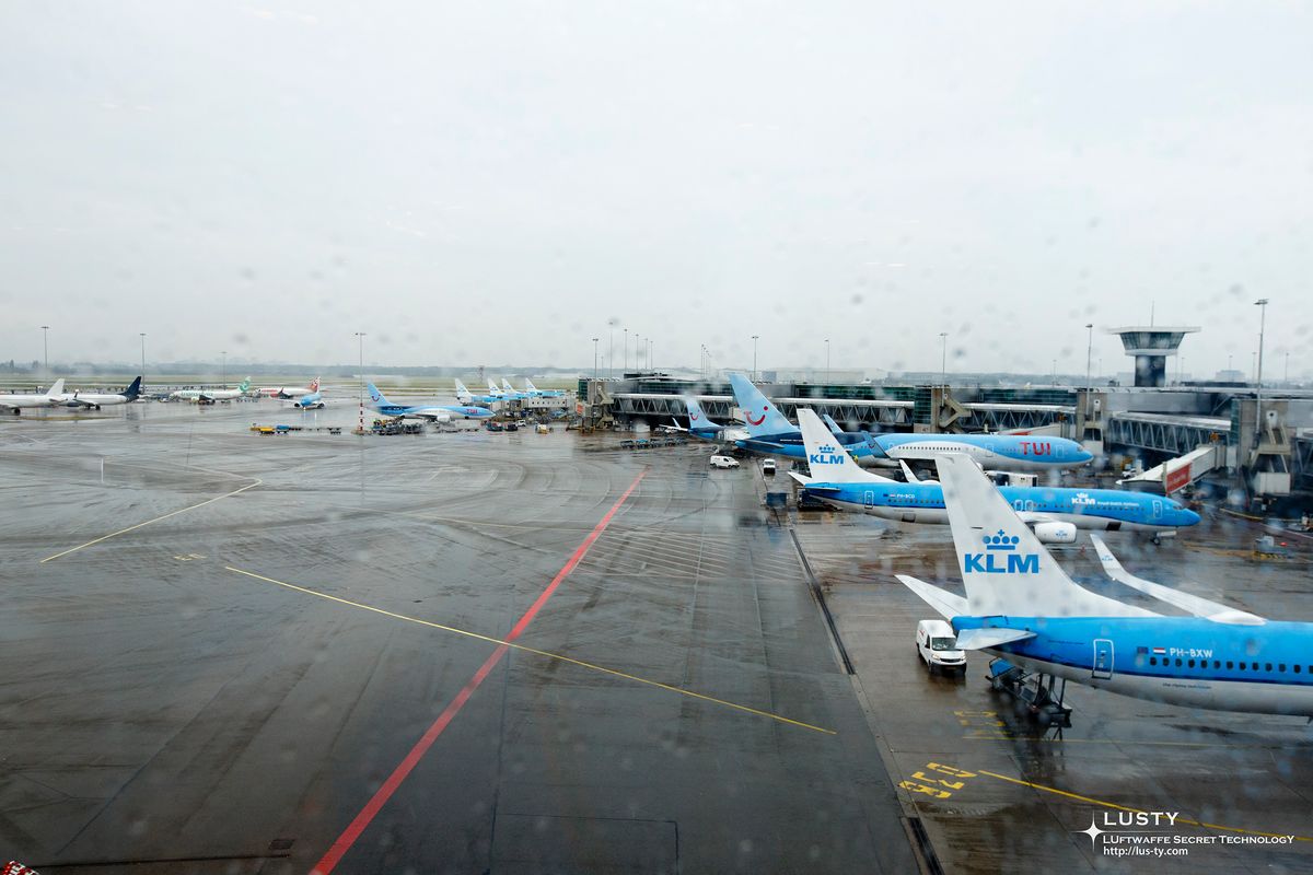 빗속에 늘어선 KLM 항공기